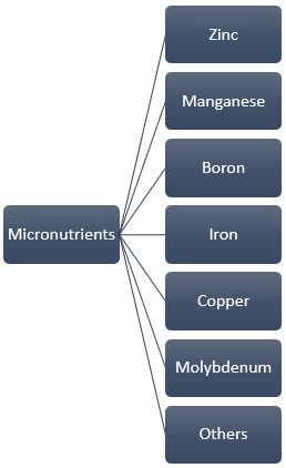 Micronutrients 