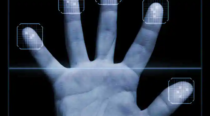 Fingerprint Biometrics