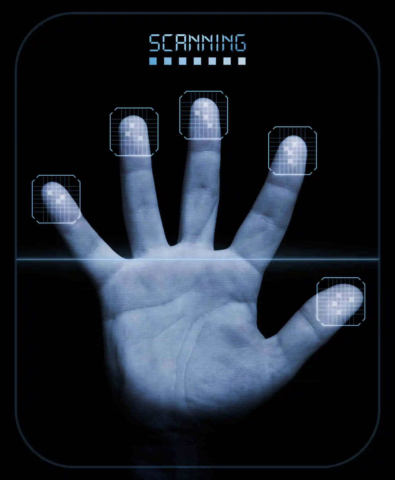 Fingerprint Biometrics