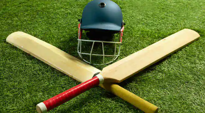 Cricket analysis software