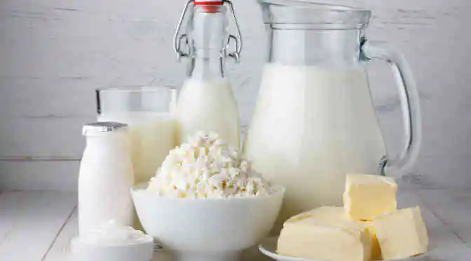 organic dairy products