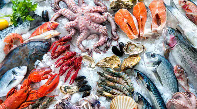 Seafood Industry in 2018